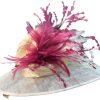 Cappelli di Katie Paglia Sinamay Crema Con Piume Malva Accessori